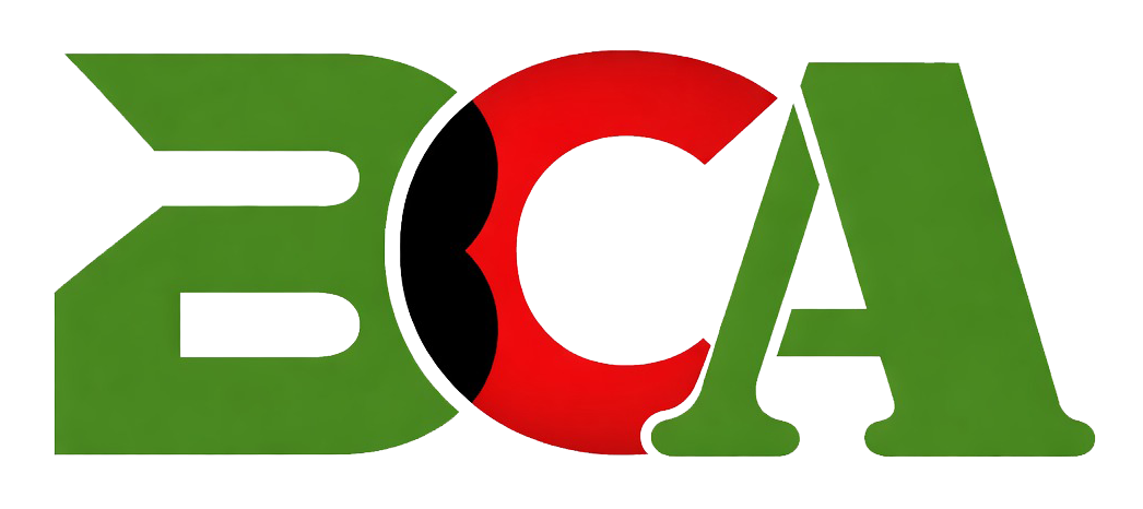 Barrister & CA FZ LLC
